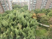 正南万科新里程3室2厅精装修