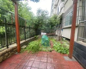 一楼带院 新秀九年制学区 瓷砖房 H户型南北通透