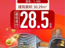 CBD纯一层商铺 首付28.5万就可入手 万象城附近