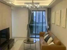 合和新城 9号线清塘站地铁口 全新精装房 拎包入住 性价比高