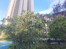 雨花区政府旁近5号线地铁2023年交房次新小区楼栋位置好绿化
