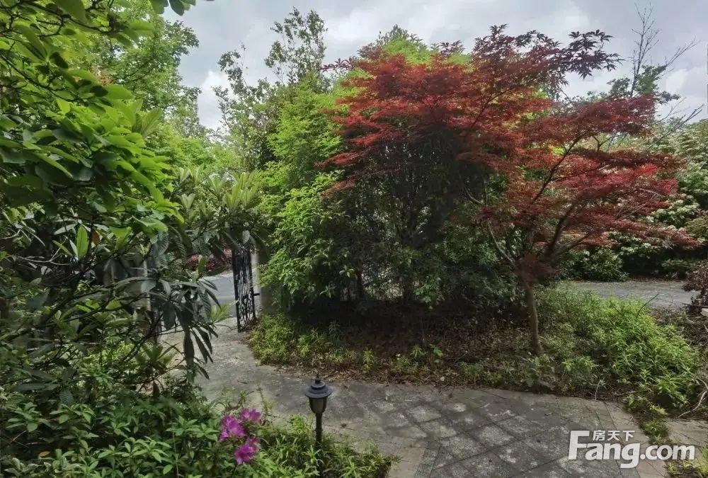 小区相关图