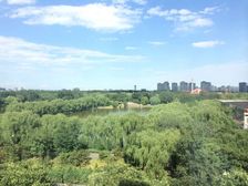 少有的景观房)一梯一户平层大四居)正观朝阳公园湖)随时看