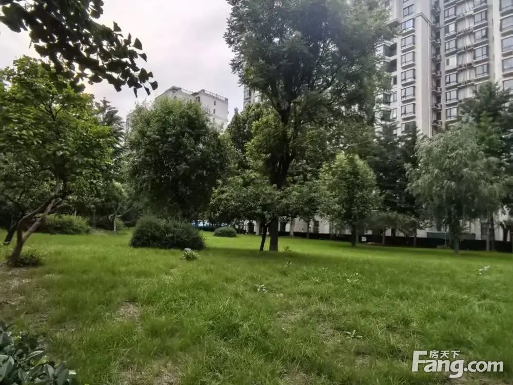 室内图