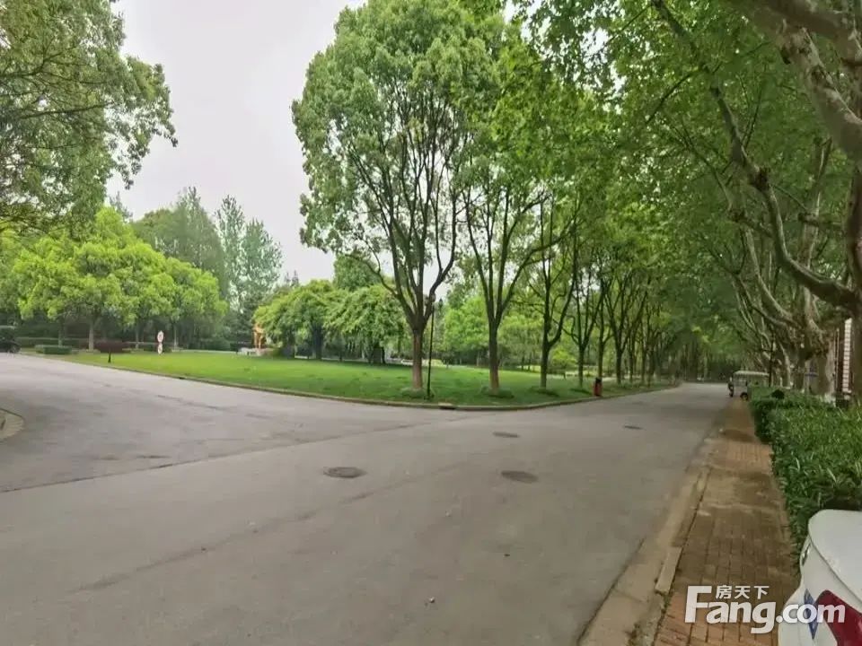 室内图