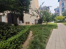 雅居乐富春雅居 南向四居 顶层视野佳 满二省税费