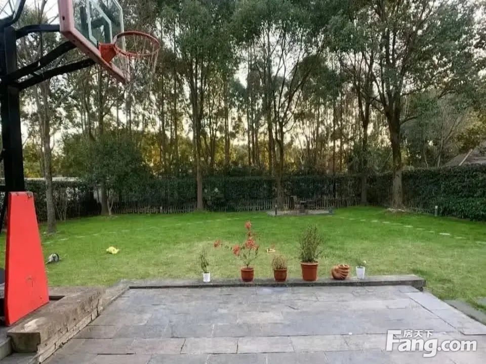 室内图