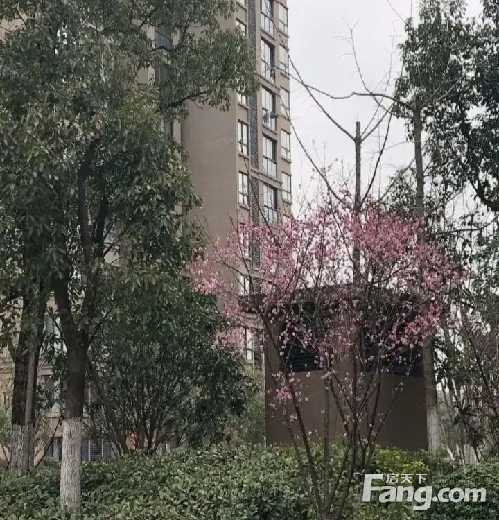 室内图