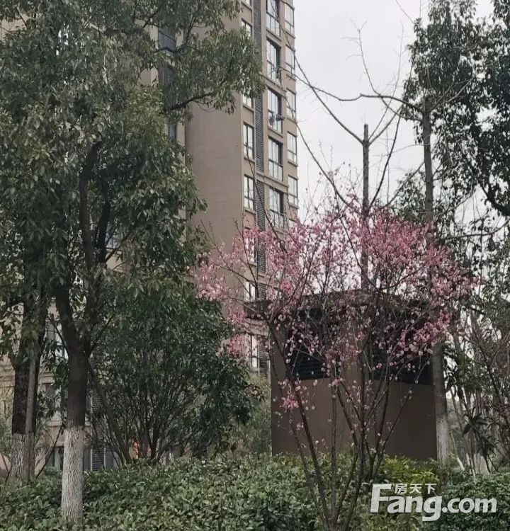室内图