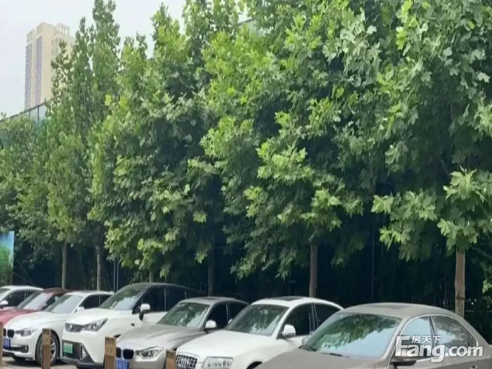 室内图