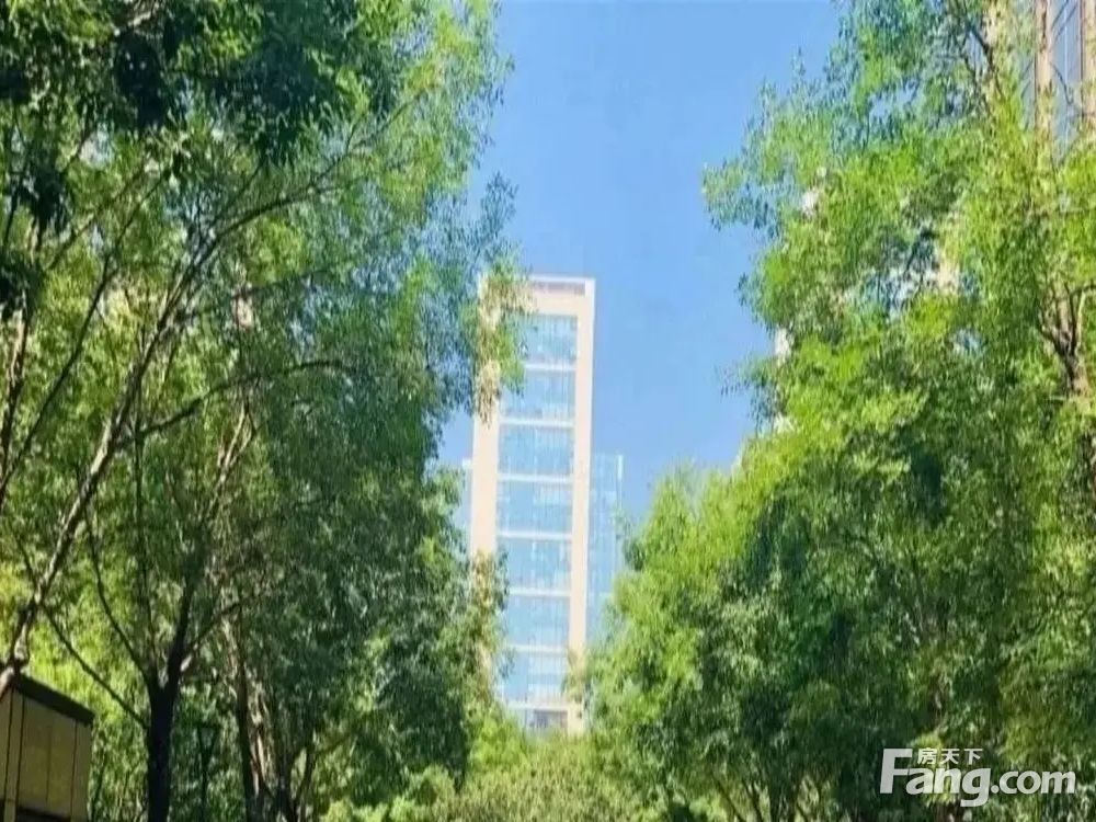 室内图