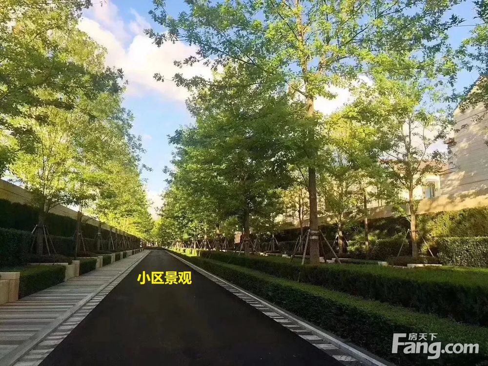 小区相关图