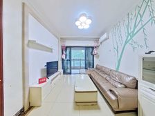 龙岗坂田精装三居 南向满五佳兆业城市广场