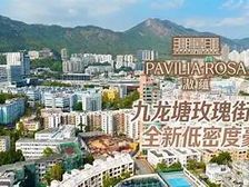 195189 43928传统核心豪宅地段低密度豪宅超奢风格