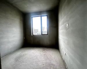 云玺首府南北通透四居 177平毛坯洋房东湖观景房 226万