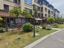 枫林雅苑精装三房 南向首层 满二住宅 126平