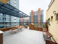 朝阳花园 网红平台+跃层,豪装5室,小高层