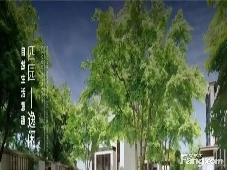 室内图