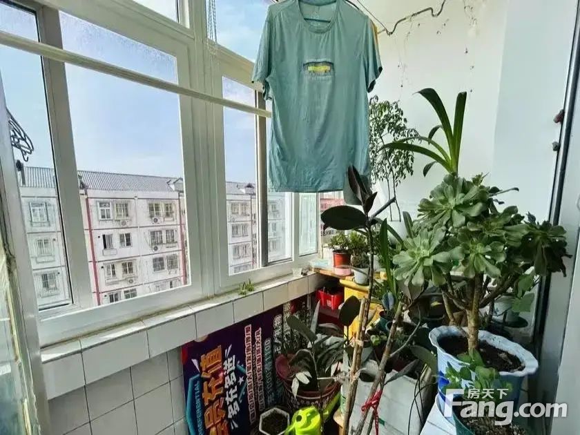 室内图