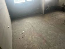 未来花郡(北区) 次新房 双卫保师未来石万达玫瑰园紫华深圳园