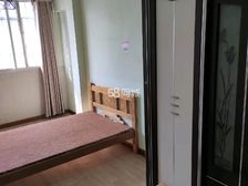 朝阳嘉园南向三居 满五住宅底层带阳台