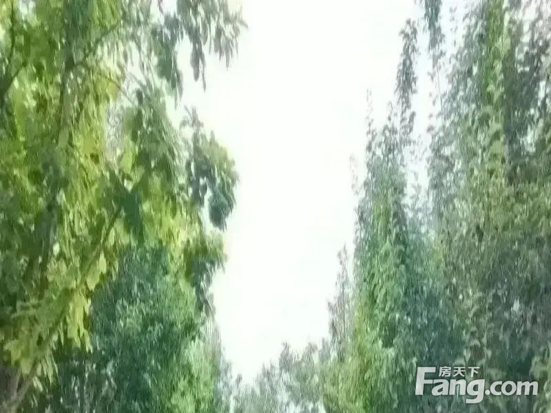 室内图