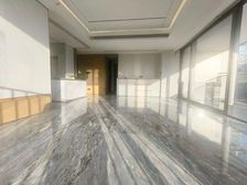 华润悦府 中央公园大平层 可拎包入住 价格可谈 对面 象奢城