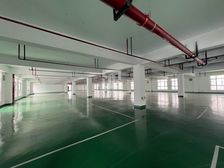 临港泥城 润材智能产业园1000平办公 可分割 随时看