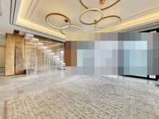光明港地铁口,次新商品房,尚水东郡,电梯高层复式