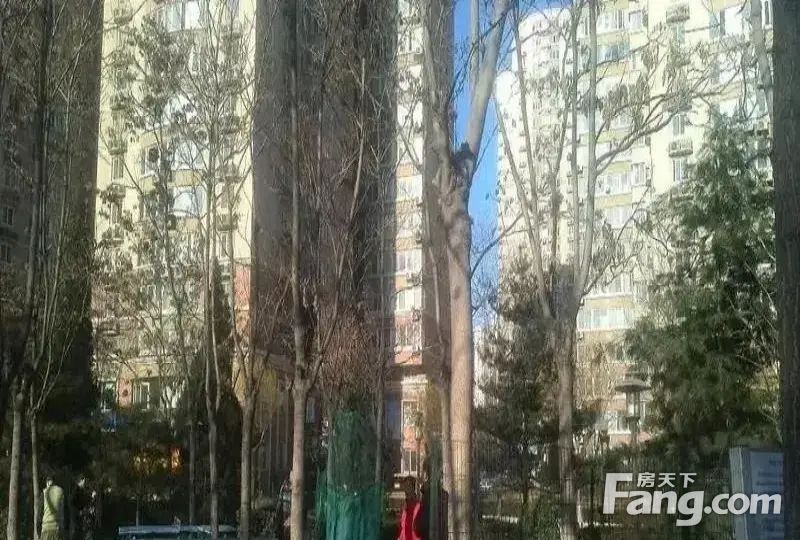 室内图