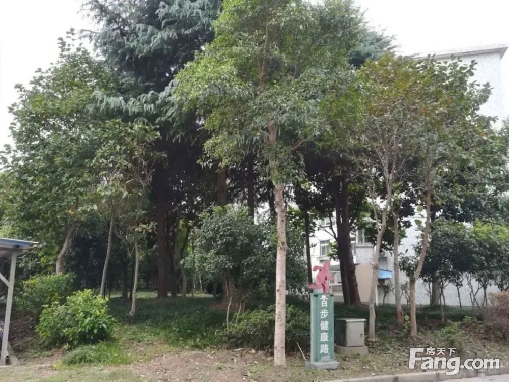 小区相关图