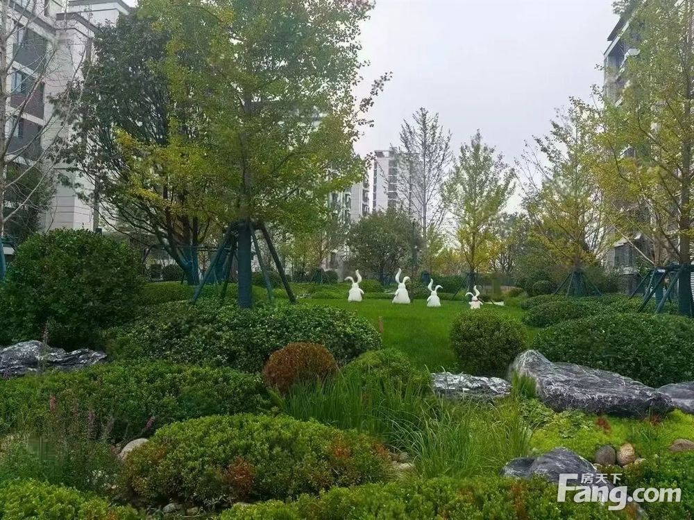 小区相关图