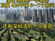 华侨城稀缺户型420平顶复,大气中空客,纯大户型圈层纯粹