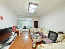 西藏地质花园 3室2厅 东南