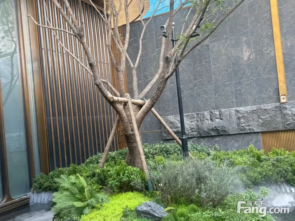 室内图