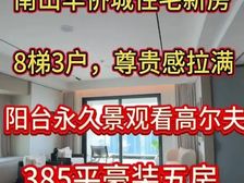 南山天幕传世大宅386平大5房 顶豪圈层 额外反20-30万