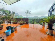 红树林洋房 花园视野非常棒 点击VR看室内全景
