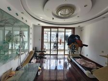曹路三房交通便捷 高楼层视野好 南向采光好 满五 临地铁