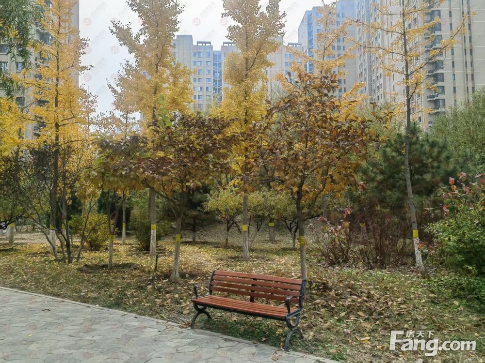 小区相关图