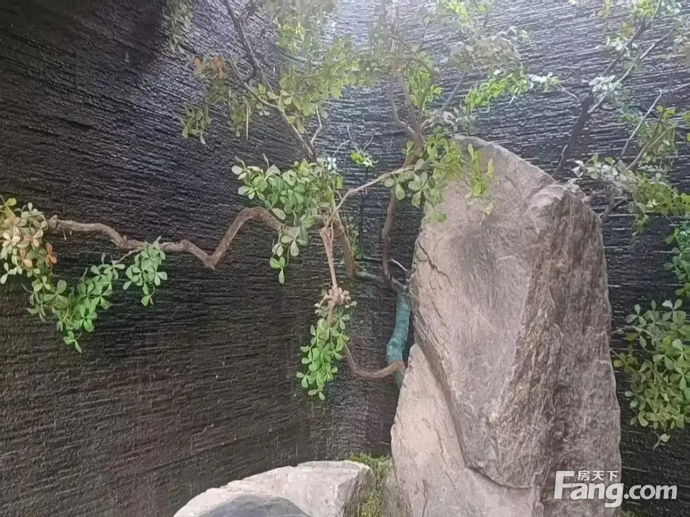 室内图