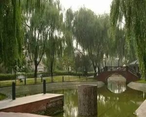 中央别墅区·名都园·4室·2厅