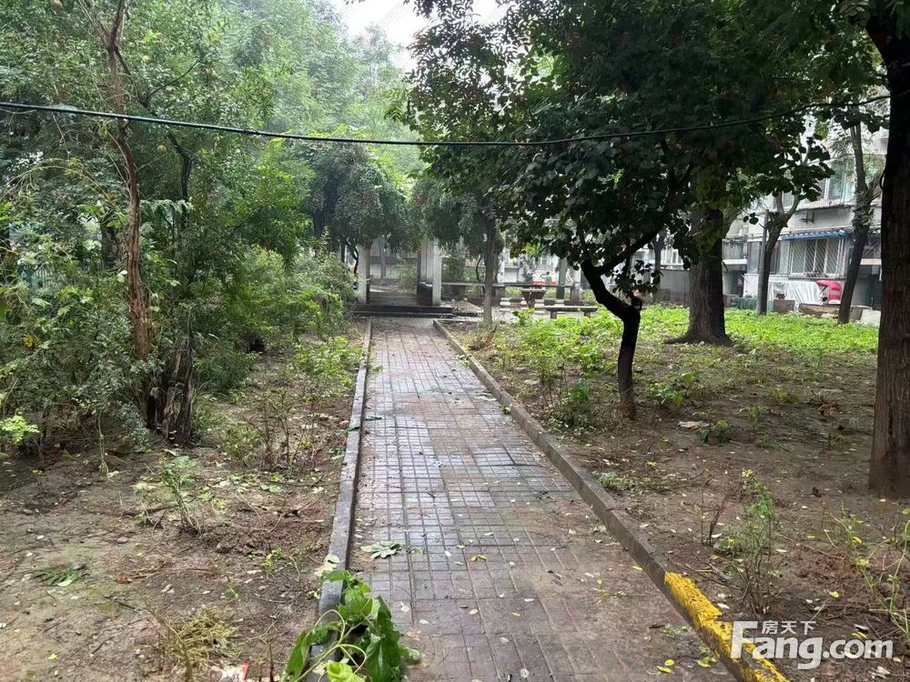 小区相关图