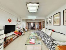 一梯贰户+电梯复式+不靠马路+户型板正+南北通透