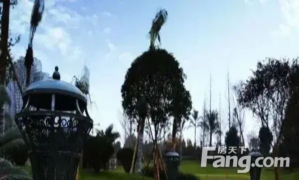 室内图