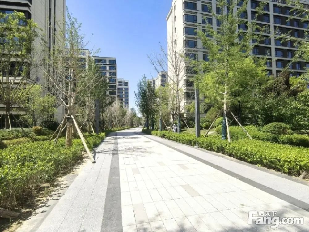 小区相关图