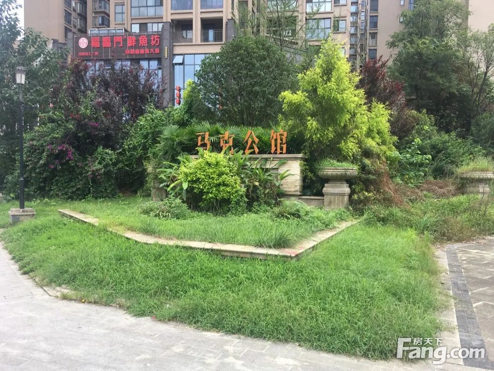 室内图