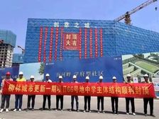 免拥 海河边 创意之城蘭园 精装南北向 三居