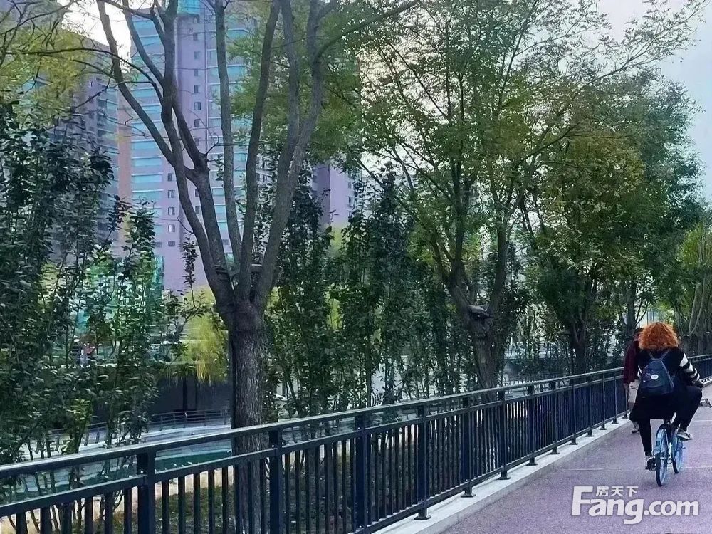 室内图