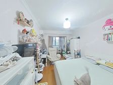 电梯房自住装修,拎包入住,正对花园