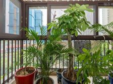 新上20年低楼层次新!精装修可拎包入住!